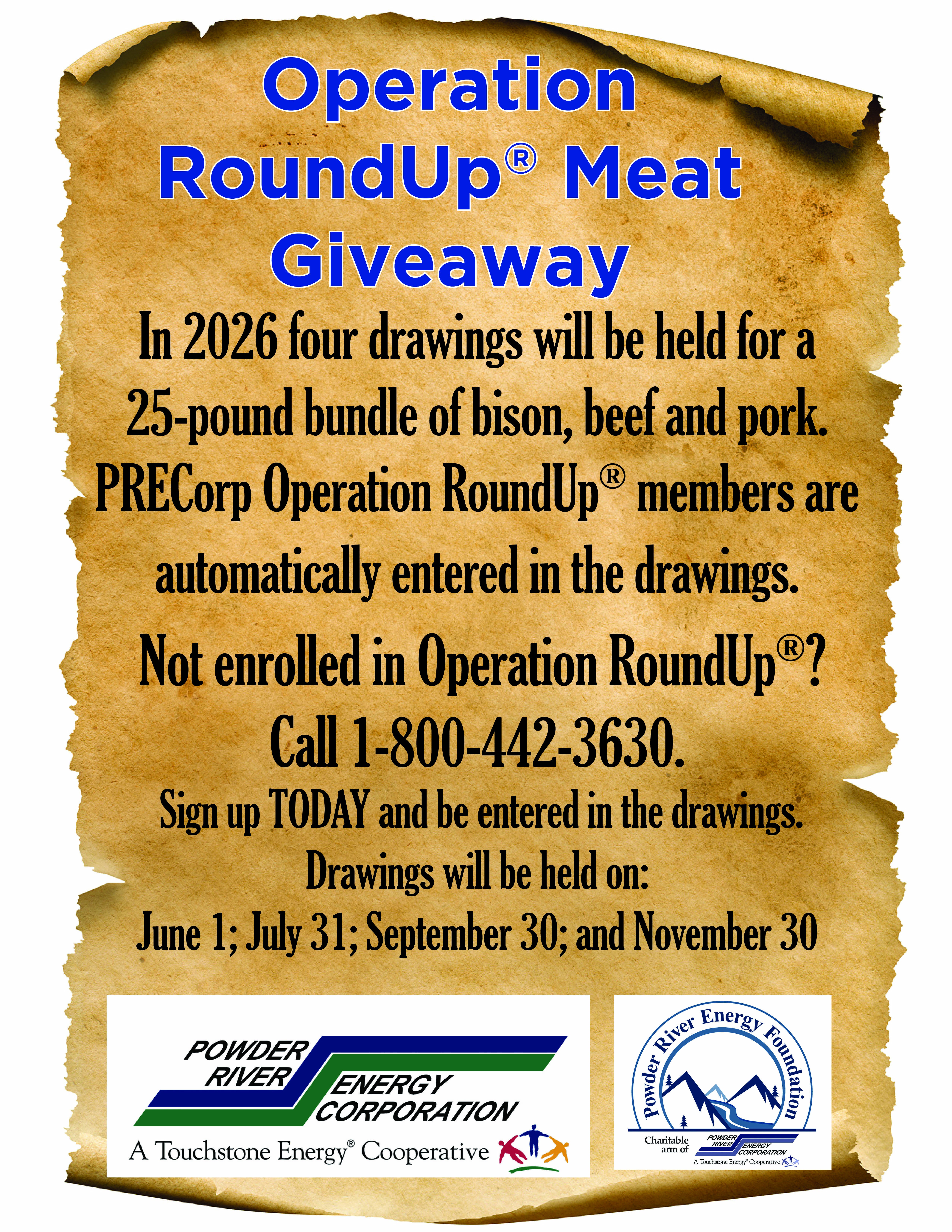 Operation RoundUp poster